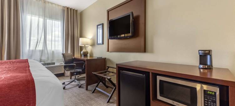 特斯柏罗-肯特舒适套房酒店(Comfort Inn & Suites Streetsboro - Kent)图片