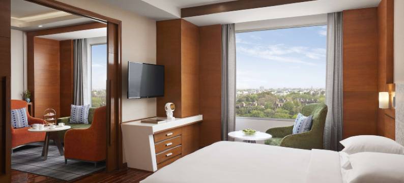 新德里贾纳克普里凯悦尚萃酒店(Hyatt Centric Janakpuri New Delhi)图片