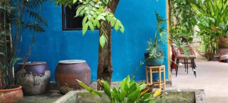 Maison du Pays de Ben Tre图片