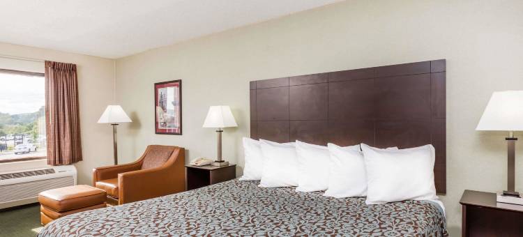 亨德森维尔戴斯酒店(Days Inn by Wyndham Hendersonville)图片