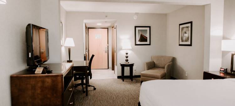 尚迪利/杜勒斯机场蔚景温德姆酒店(Wingate by Wyndham Chantilly / Dulles Airport)图片