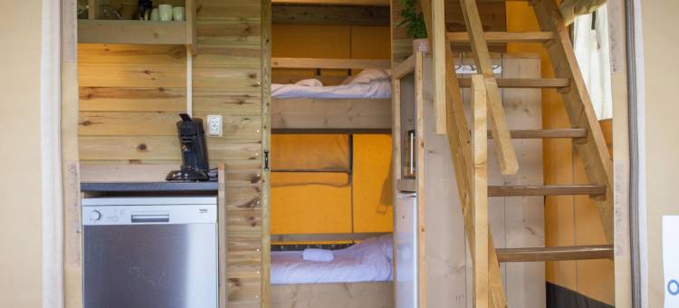 靠近Veluwe的装备精良的带露台的帐篷小屋(Well Furnished Tent Lodge with Terrace Near Veluwe)图片