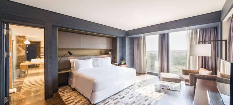 巴马科丽笙精选酒店(Radisson Collection Hotel Bamako)图片