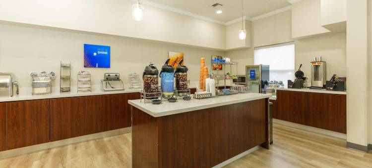 大学路舒适套房酒店(Comfort Suites University Drive)图片