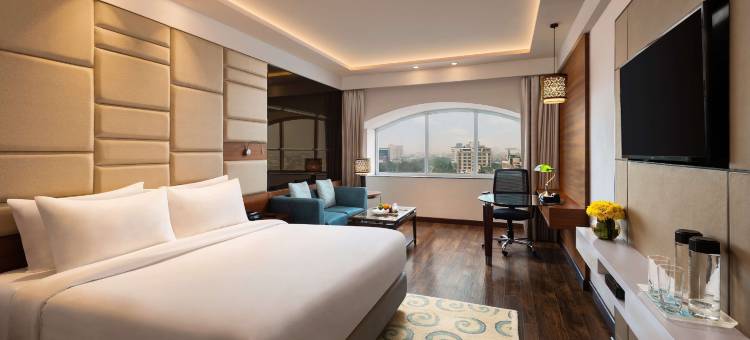 齐普尔市中心丽筠酒店(Radisson Jaipur City Center)图片