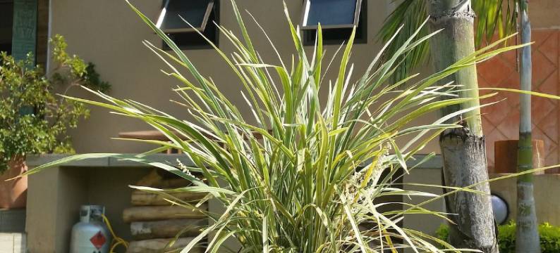 班姆布湖滨小屋(Bambuu Lakeside Lodge)图片