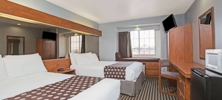 加兰达拉斯麦客达温德姆酒店(Microtel Inn & Suites by Wyndham Garland/Dallas)图片