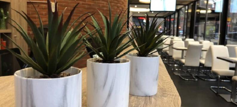 维克多雨果酒店(Hotel Victor Hugo)图片