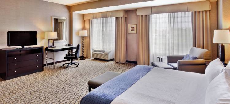 Holiday Inn 底特律METRO机场(Holiday Inn Detroit Metro Airport)图片