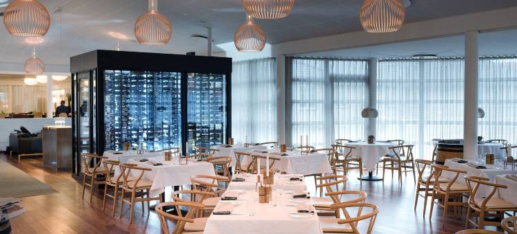 斯卡恩七彩酒店(Color Hotel Skagen)图片