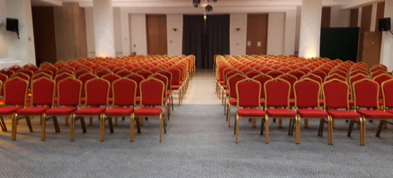 杜帕尔克米卢斯中心酒店(Hotel du Parc - Mulhouse Centre)图片