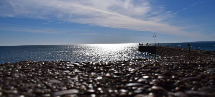 海港旅馆(Harbour Inn)图片
