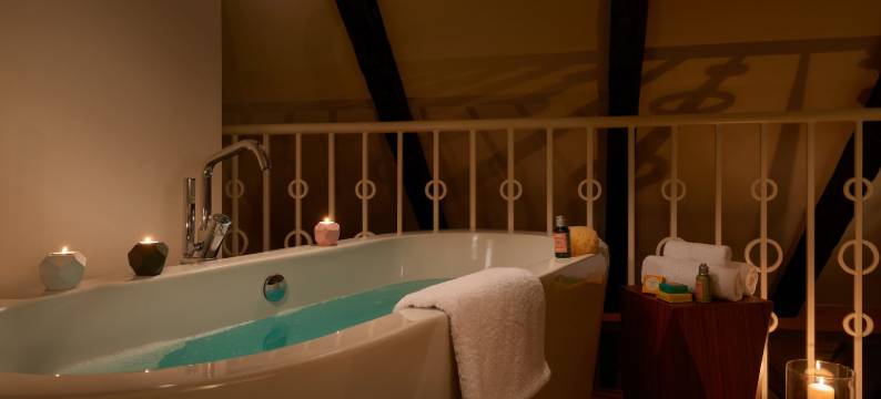 沃塞洛瓦公寓酒店(Residence Vocelova)图片