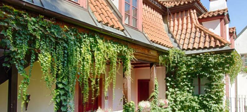 瓦尔德施泰因酒店(Hotel Waldstein)图片