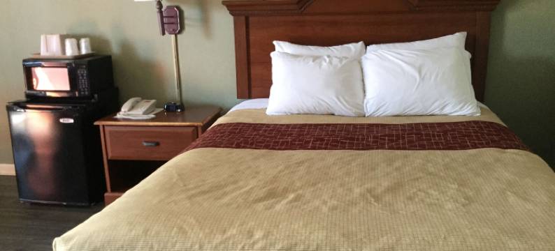 弗尔斯汽车旅馆(Falls Inn)图片