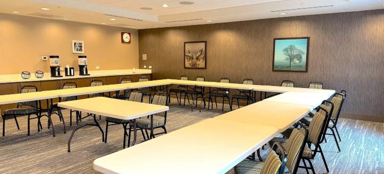 圣保罗奥克戴尔 - 伍德柏里希尔顿欢朋套房酒店(Hampton Inn & Suites St. Paul/Oakdale)图片