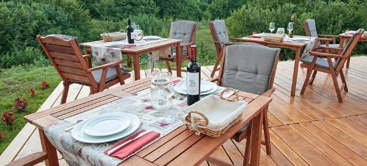 阿帕特马尼布里酒店(B&B Apartments Burić Plitvice Lakes)图片