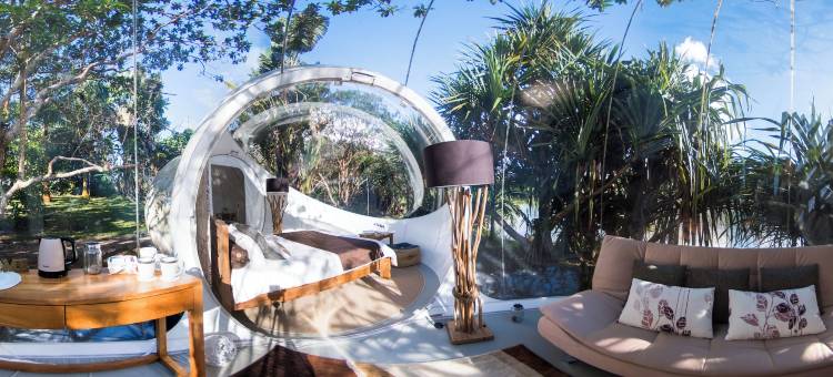 布瓦谢里泡泡小屋(Bubble Lodge Bois Chéri Plantation)图片