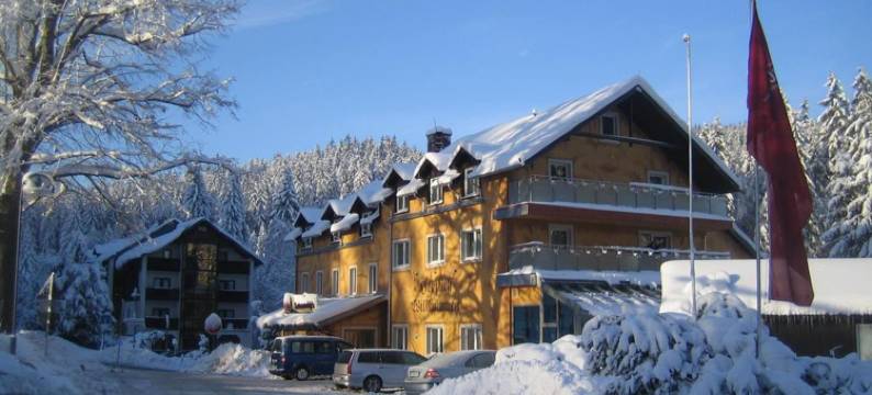 拉登明勒酒店(Hotel Ladenmühle)图片