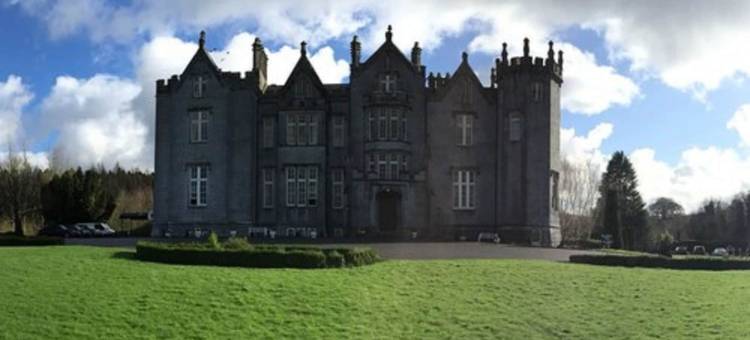 基尼缇城堡酒店(Kinnitty Castle Hotel)图片