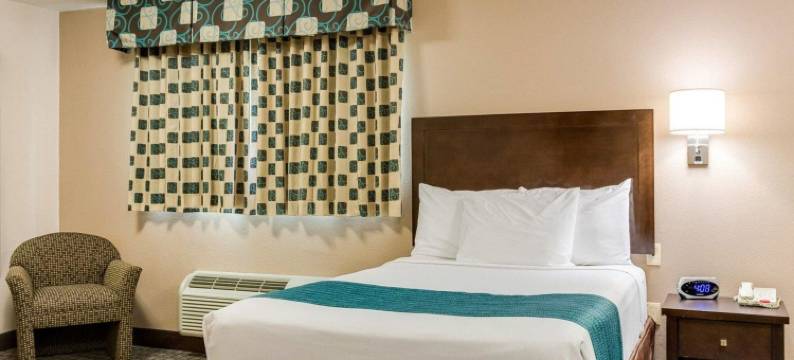 郊区公寓酒店-阿文代尔(Suburban Studios Avondale)图片