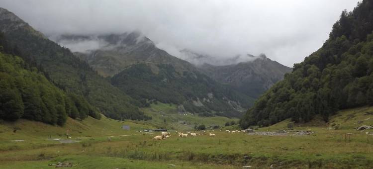 莱斯卡尔快捷酒店(Brit Hotel Essentiel Pau Lescar)图片