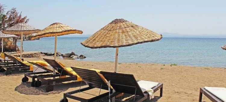 阿斯佩尔奥特尔酒店(Arsipel Hotel)图片