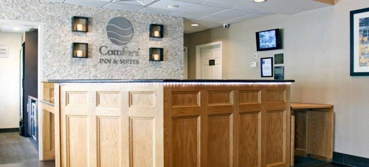 舒适套房酒店(Comfort Inn & Suites Sturbridge-Brimfield)图片