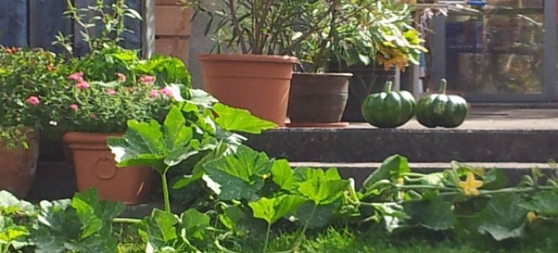 蓝泡泡墙酒店(Blue Wall Bnb)图片