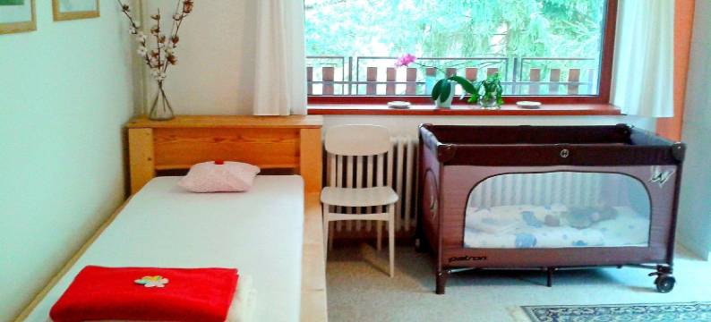 博尔住宿加早餐旅馆(Penzion Bor)图片