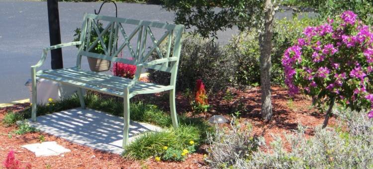 中央汽车旅馆(Central Motel - Inverness)图片