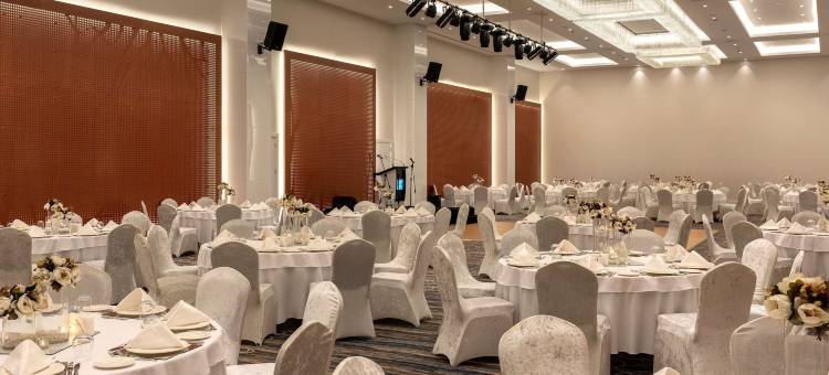 萨卡里亚丽笙蓝标酒店(Radisson Blu Hotel, Sakarya)图片