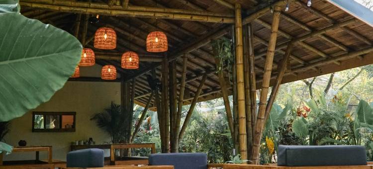 圣特雷莎梦想冲浪之家(Dream Surf House Santa Teresa (Playa Hermosa))图片