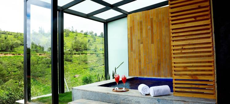 阿亚塔纳乌提(Ayatana Ooty)图片