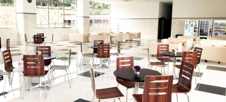 东横INN 对马比田胜(Toyoko Inn Tsushima Hitakatsu)图片