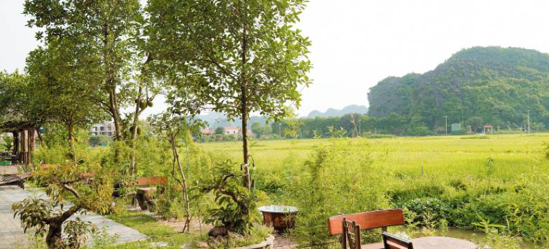 三谷罗阿先生简易别墅(Tam Coc Mr Loa Bungalow)图片