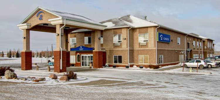 奥延卡纳尔塔酒店(Canalta Oyen)图片