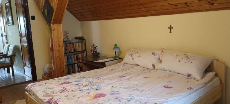 Szabó 宾馆(Szabó Vendégház)图片