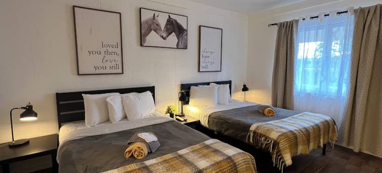 萨塞克斯汽车旅馆(Sussex Motel)图片