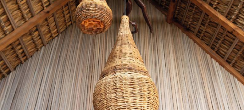 奥哈卡的蝴蝶之家(Casa Mariposa Oaxaca)图片