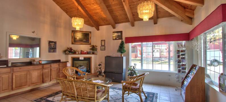 蝴蝶格罗夫旅馆(Butterfly Grove Inn)图片