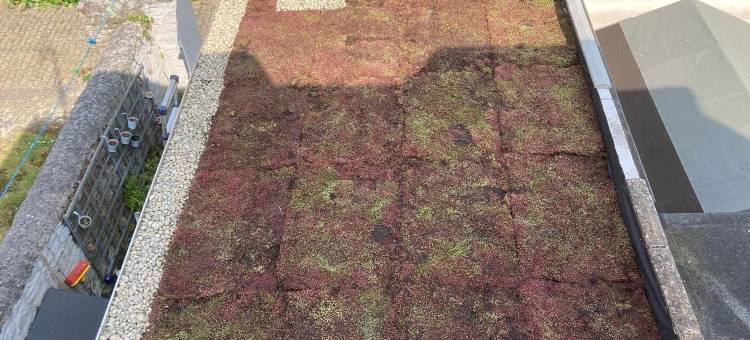 水手旅馆(Mariners Guest House)图片