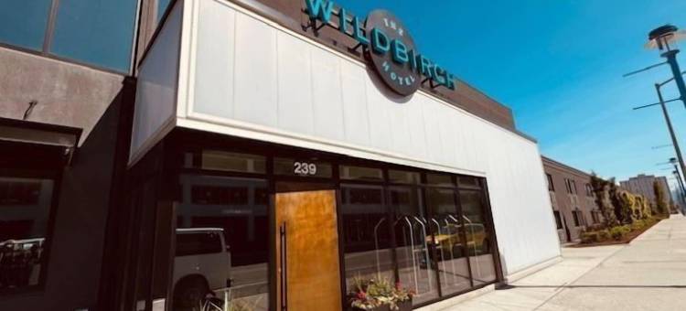 安克雷奇飞行员酒店(The Wildbirch Hotel in Jdv by Hyatt)图片