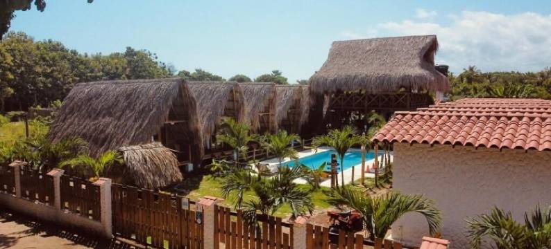 帕洛米诺日出(Palomino Sunrise)图片