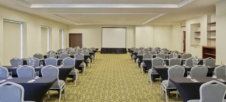 美洲阿瓜斯卡连特斯嘉年华酒店(Fiesta Americana Aguascalientes)图片