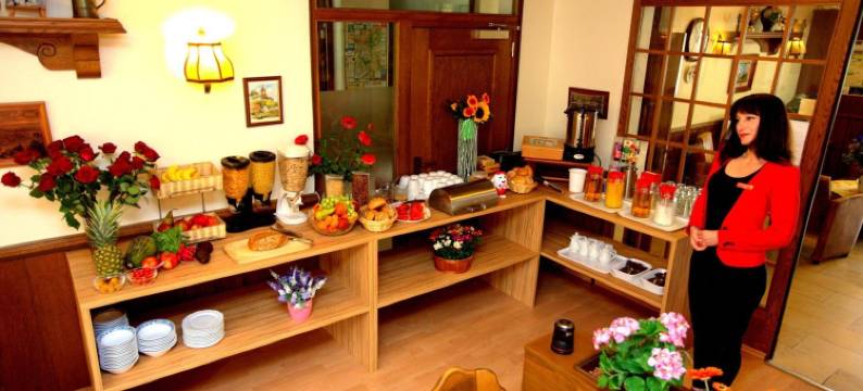 机场瓦尔多夫酒店(Airport Hotel Walldorf)图片