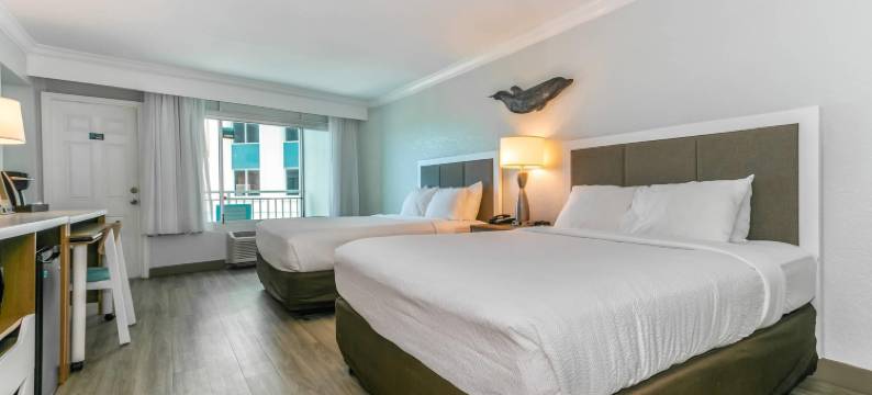 清水湾海豚沙滩Ascend精选酒店(Dolphin Sands Clearwater Beach, Ascend Hotel Collection)图片