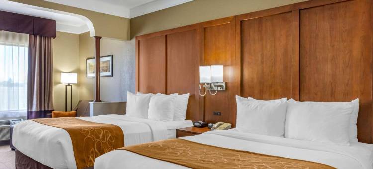 普莱恩维尤舒适套房酒店(Comfort Suites Plainview)图片