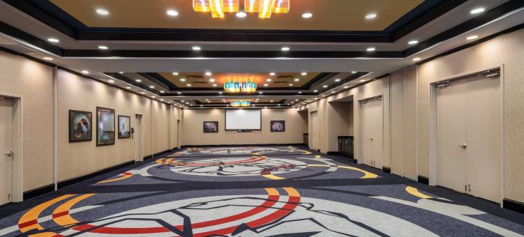 沃斯堡联盟机场希尔顿花园酒店(Hilton Garden Inn Fort Worth Alliance Airport)图片