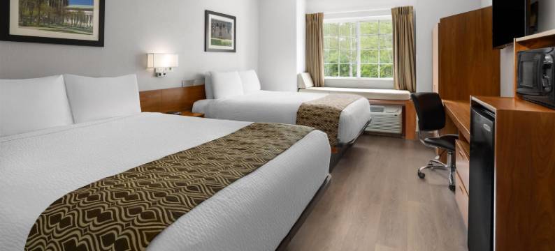 奥尔巴尼机场麦客达酒店(Microtel Inn by Wyndham Albany Airport)图片